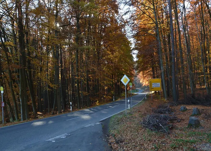 Pleasant In With Sauna *