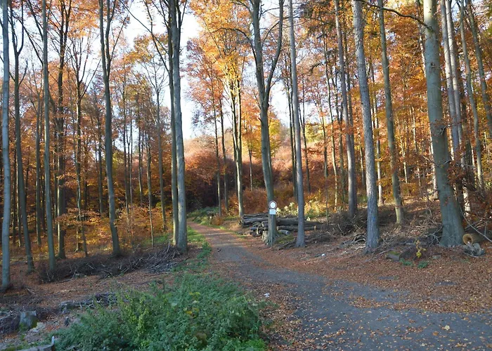 Pleasant In With Sauna Kemmenau